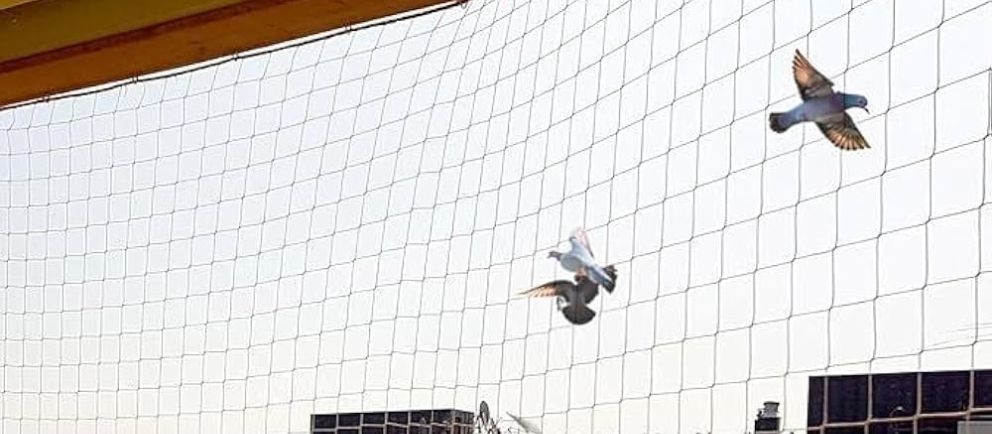 Anti Bird Nets